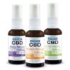 ACCESS CBD Oil, Strong CBD Strength, 30ml, 2400mg, Berry Flavour, Natural Flavour and Citrus Flavour.