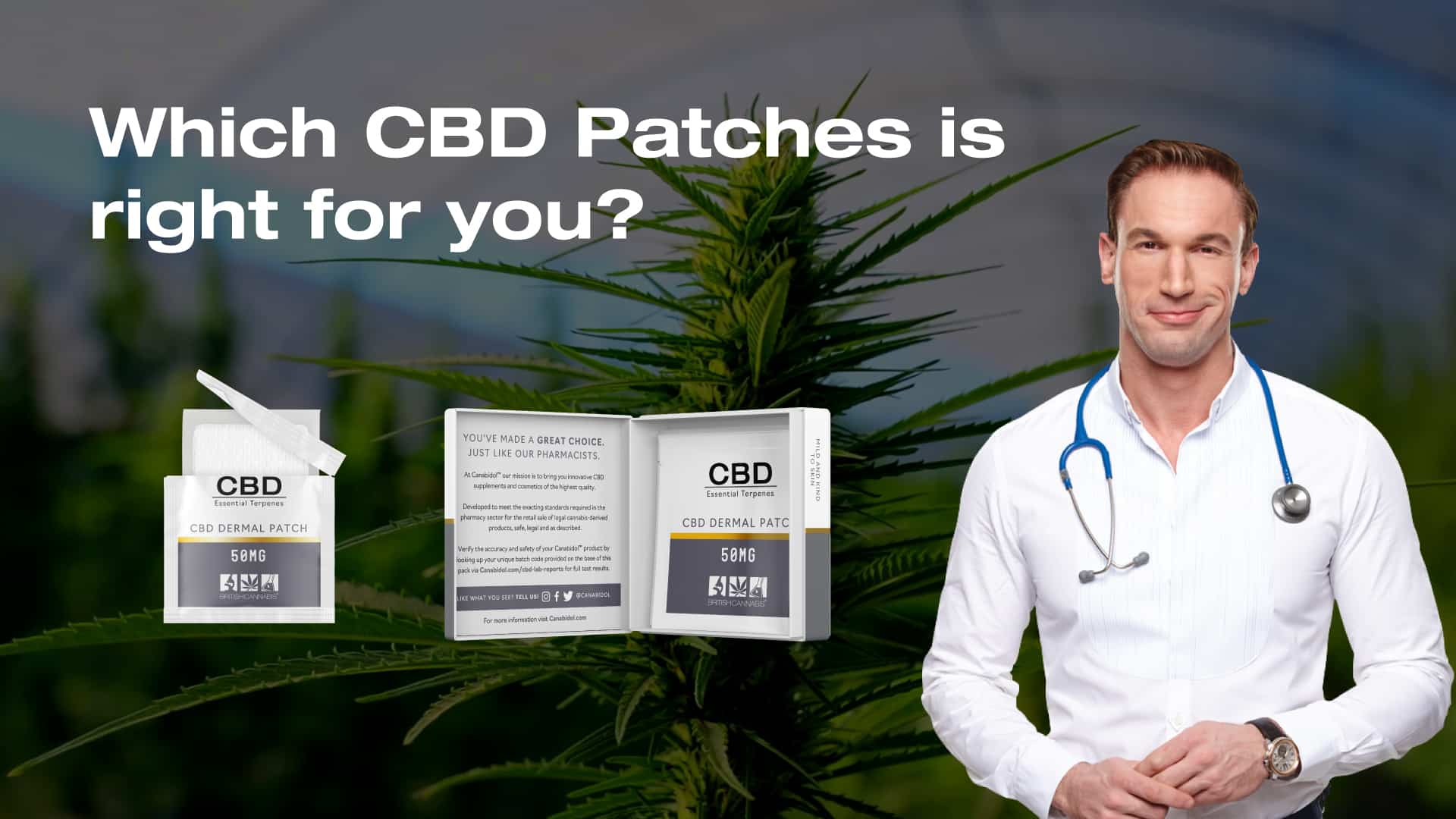 CBD Patches Buyers Guide Information