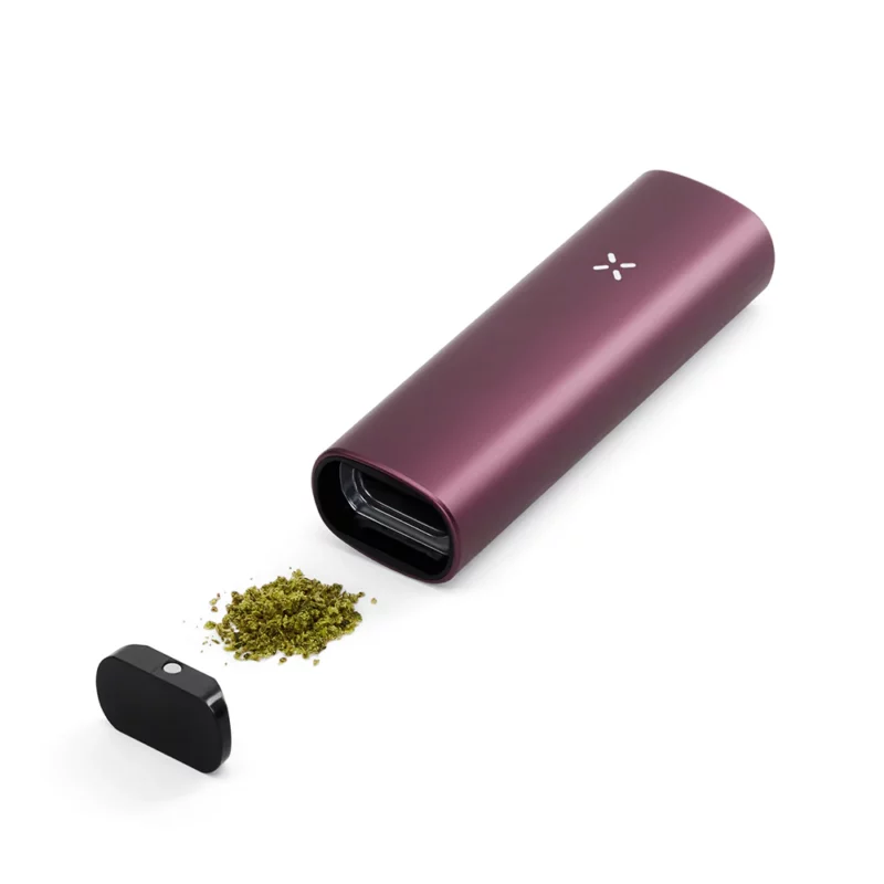 Pax Plus Elderberry 1