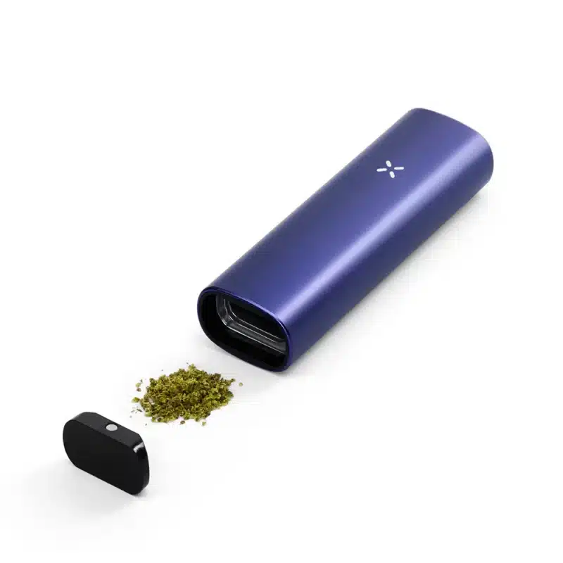 Pax Plus Periwinkle 1