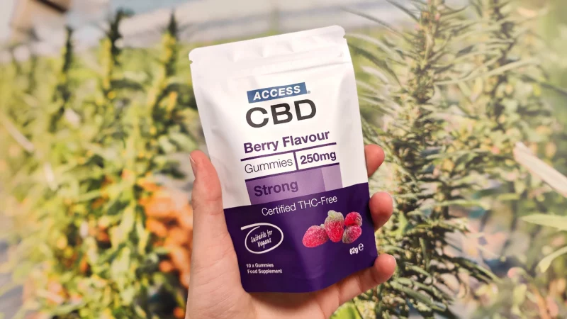 CBD Gummies can you drive