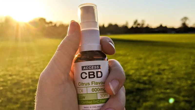 The Essential Guide To Buy Legal CBD Oil Online 3