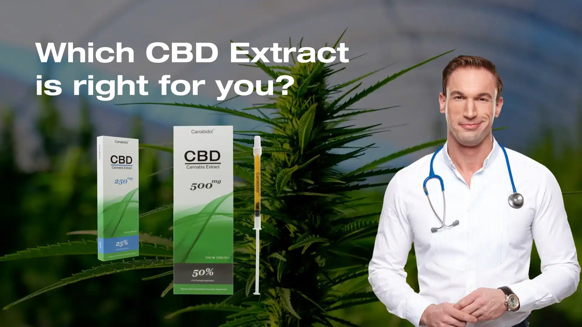 thumbnail cbd buyers guide extract copy